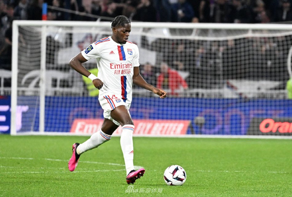 莱与维金斯 莱与维金斯