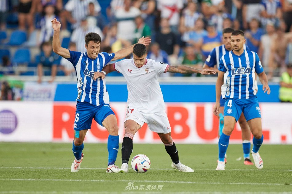 体育运动 体育运动